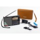 RECEPTOR TECSUN PL-880